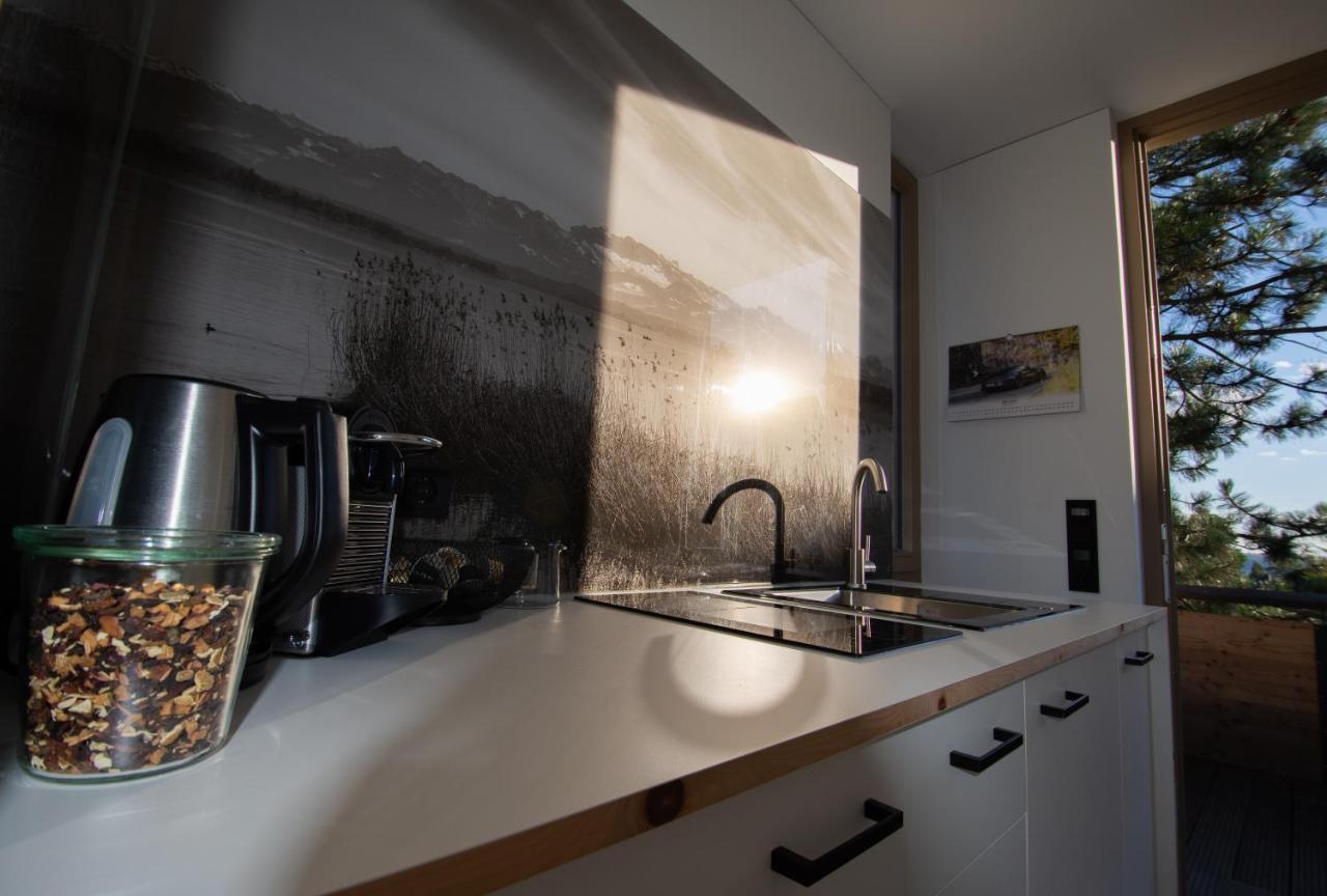 Appartement Traumblick Weinböhla المظهر الخارجي الصورة